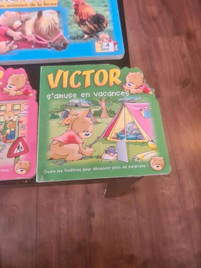 Lot livre victor - photo numéro 4