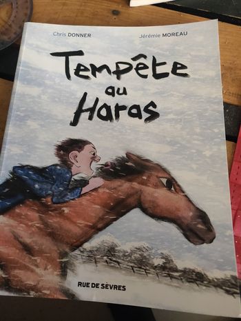 Tempête au haras École des Max