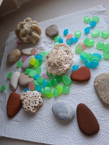 Lot décoration aquarium Galets  Pierre  Elements Fluo