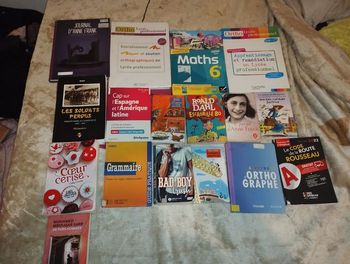 Lot de 17 livres