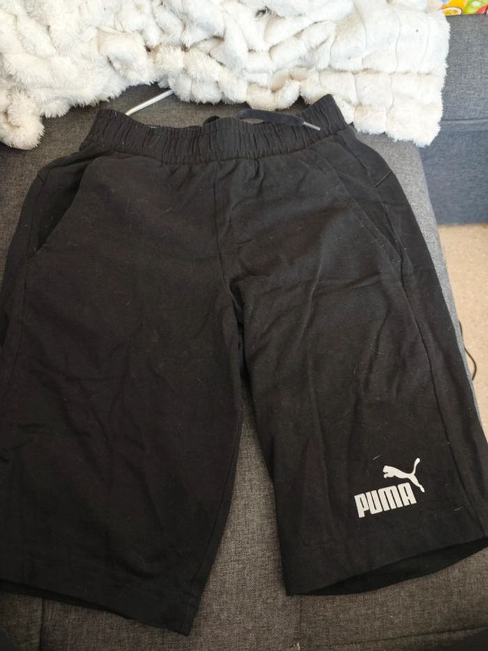 Short puma
