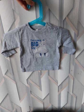 tee shirt gris ours
