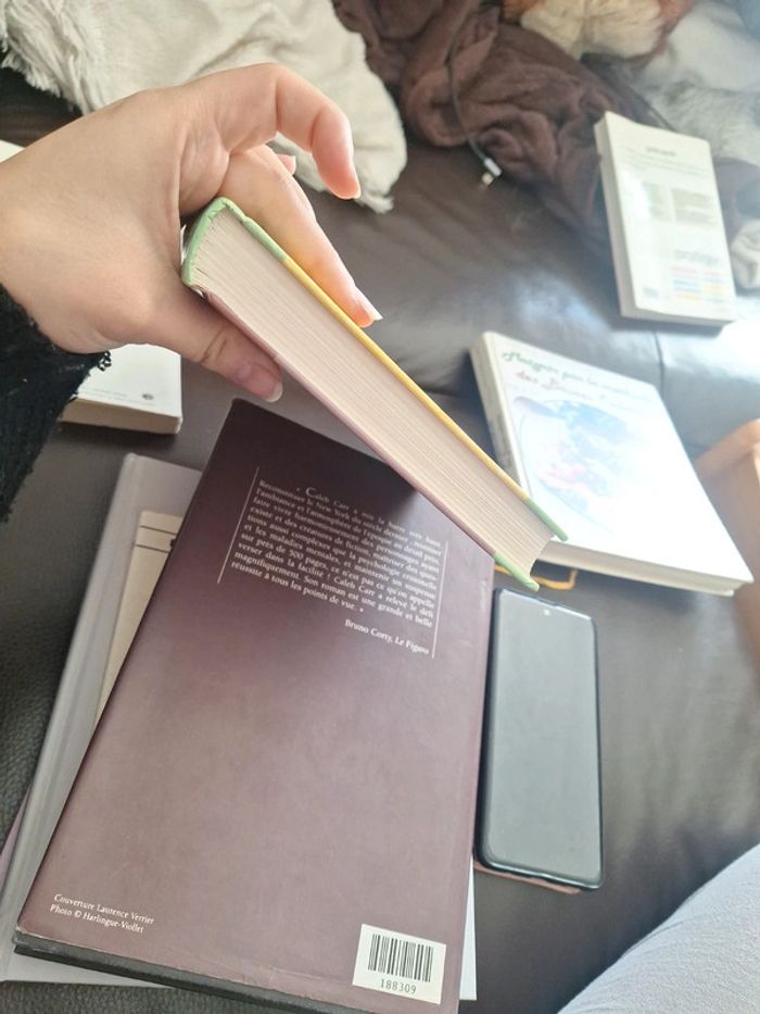 Gros livre de recette traditionnelle - photo numéro 3