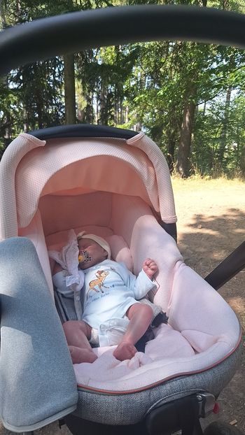 Bébé reborn à l'adoption