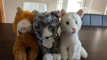Peluches en lot