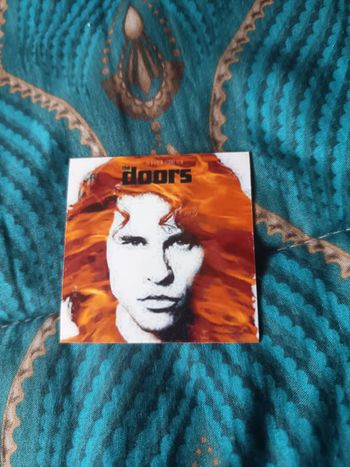 Magnet the doors 