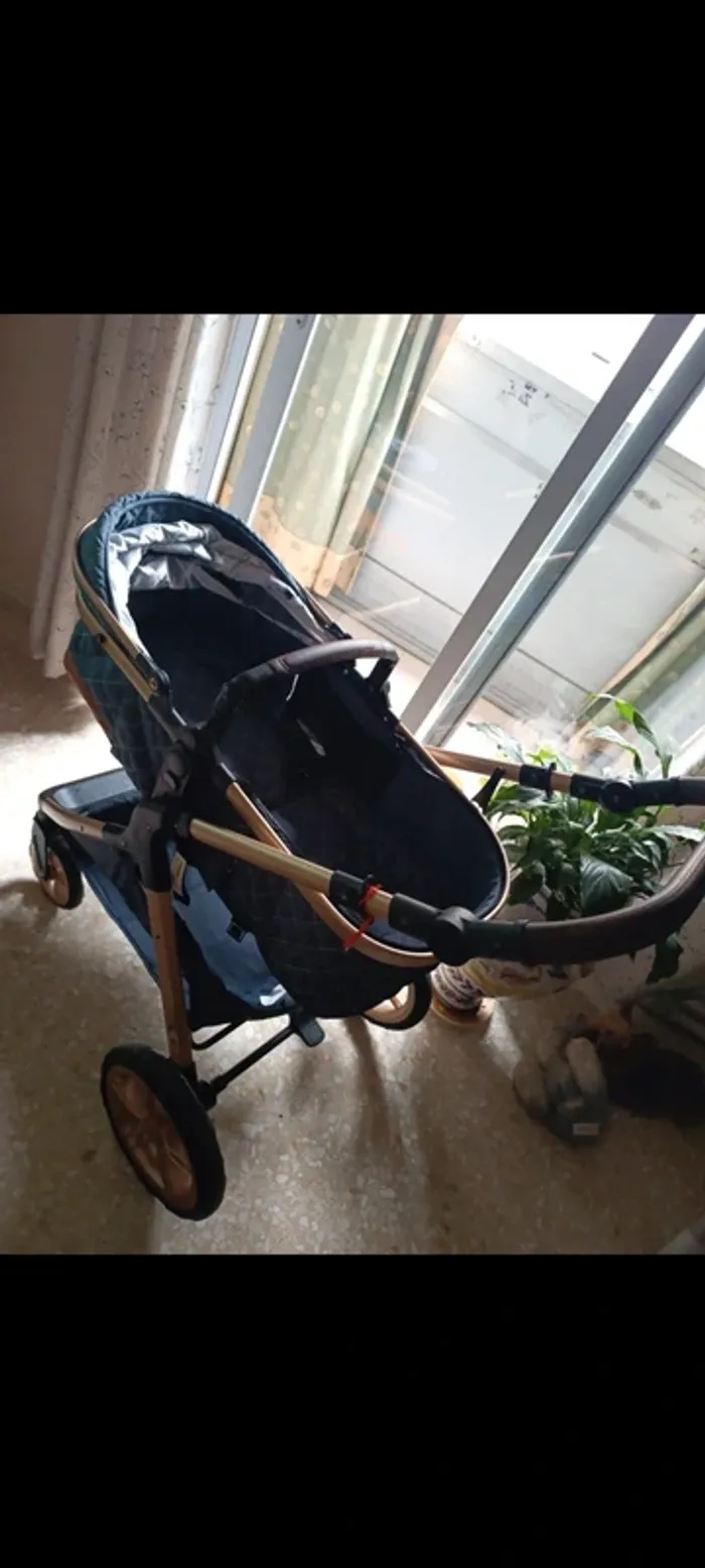 Carrito 3 en uno - photo numéro 3