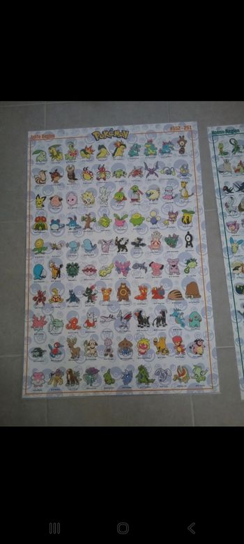 Poster plastifié Pokrmon 152 au 251