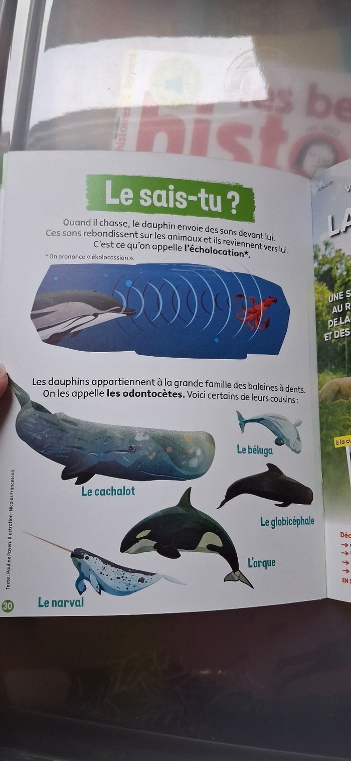 Youpi doc - photo numéro 5