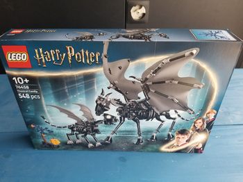 Lego Haary Potter 76458 La famille de Sombrals