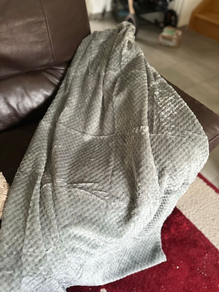 Plaid - photo numéro 4