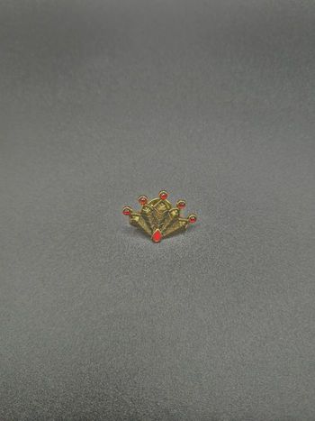 Bijou Miraculous du Paon – univers Ladybug (livre)