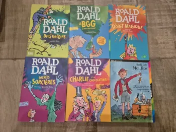 Lot de 6 romans de Roald Dahl