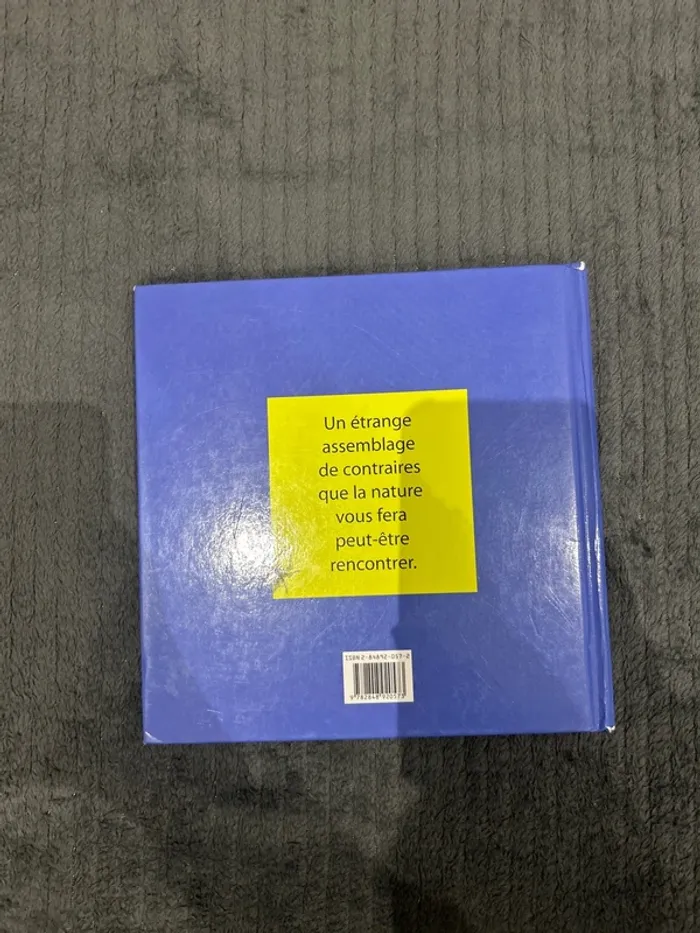 Livre enfant « long bas et haut » - photo numéro 2