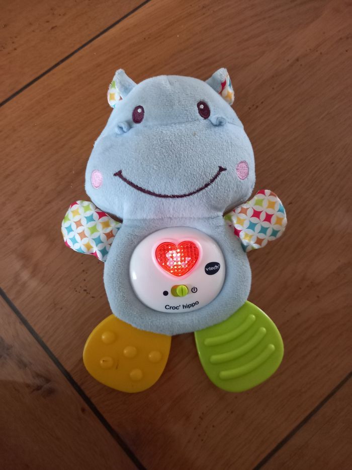 Croc hippo - photo numéro 2