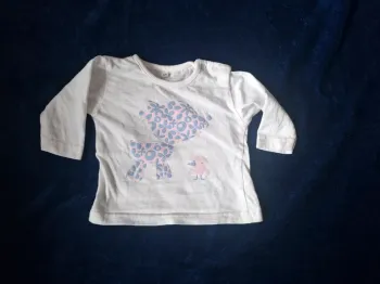 t-shirt ml