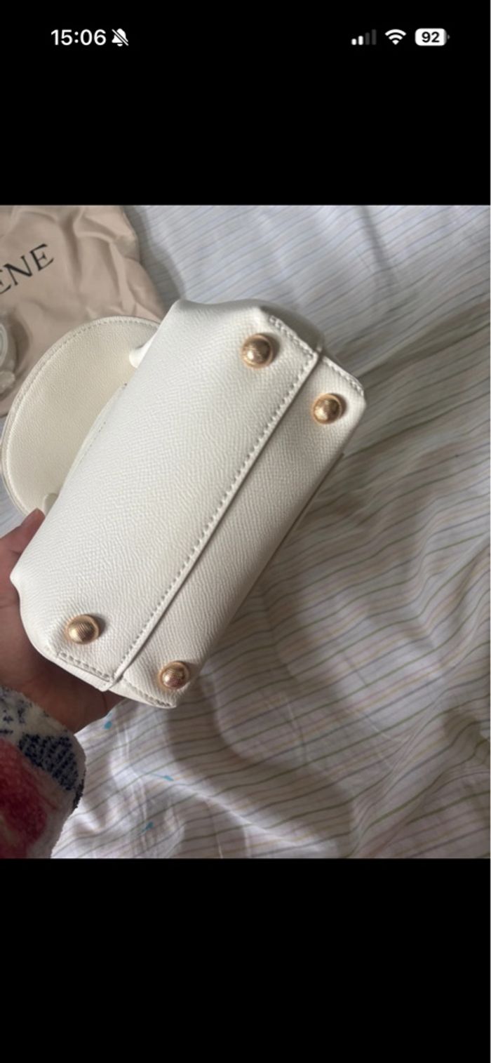 Sac poléne - photo numéro 2