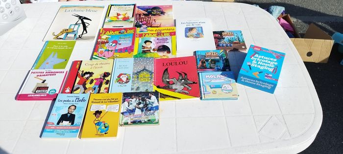 Lot de livres - photo numéro 4