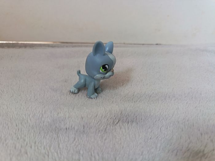LPS #857 Bouledogue Français Gris (Authentique Hasbro) - photo numéro 1