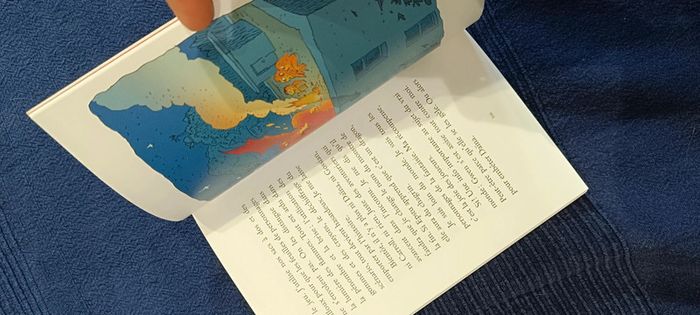 Livre école des loisirs Petit Vampire - photo numéro 4