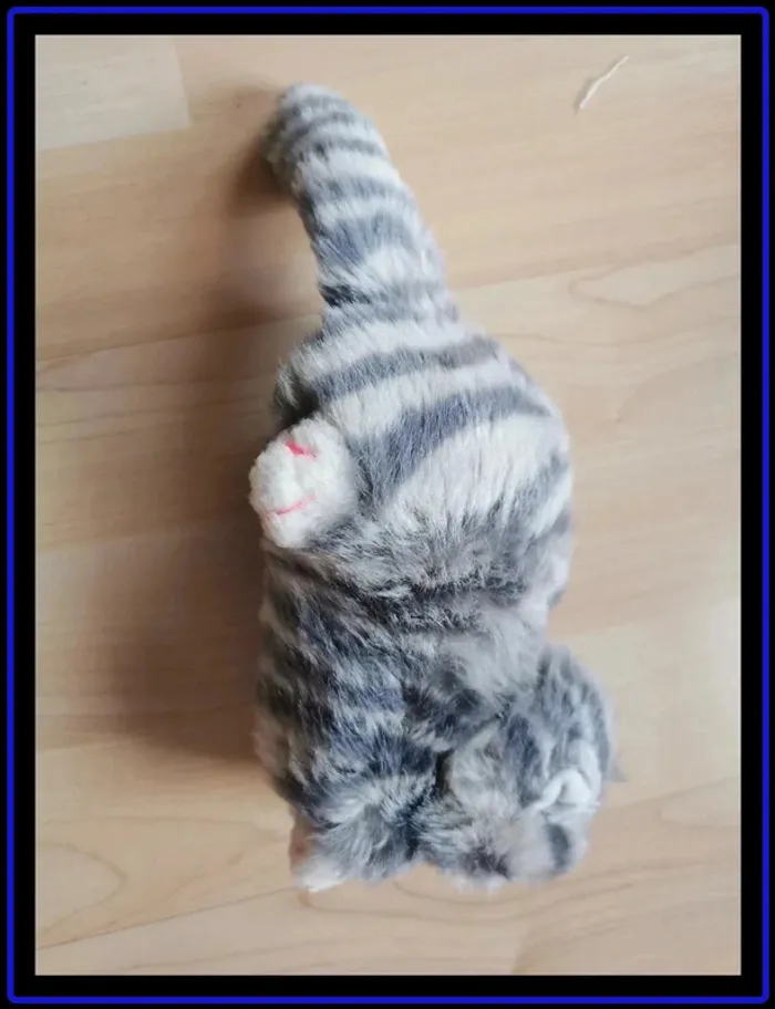 Peluche chat - photo numéro 3