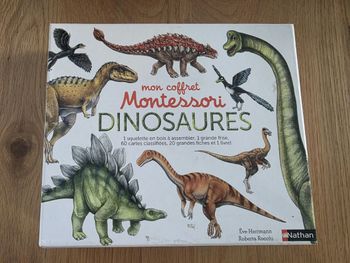 Coffret Montessori Dinosaure Nathan (pas complet)