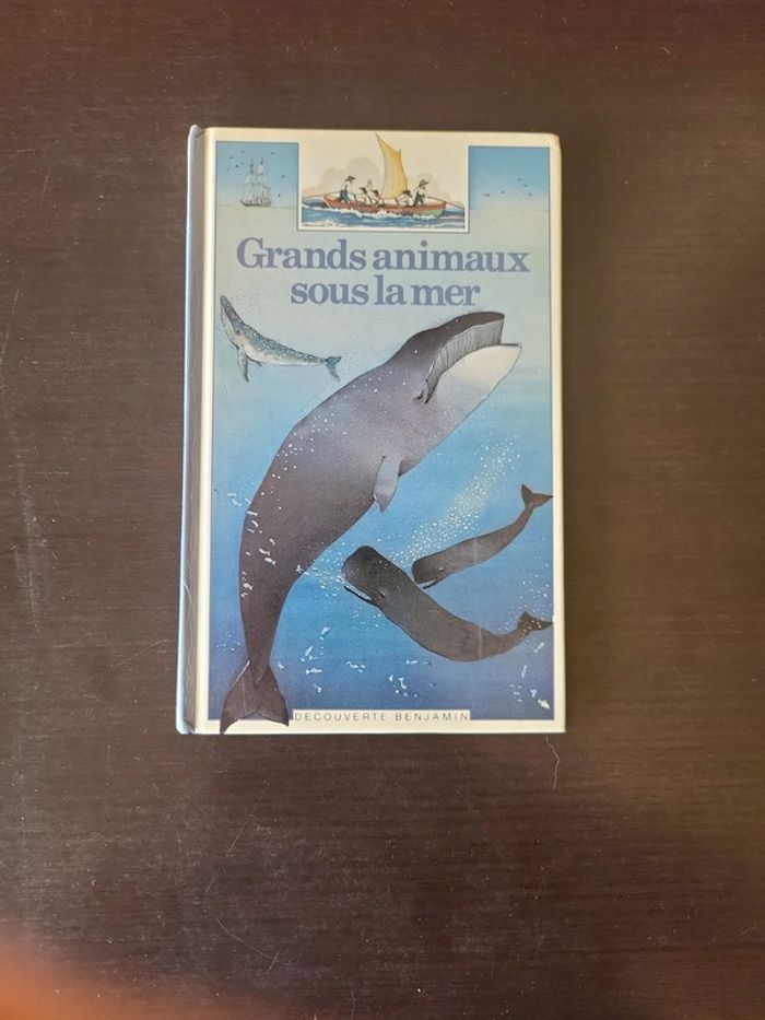 Grands animaux sous la mer