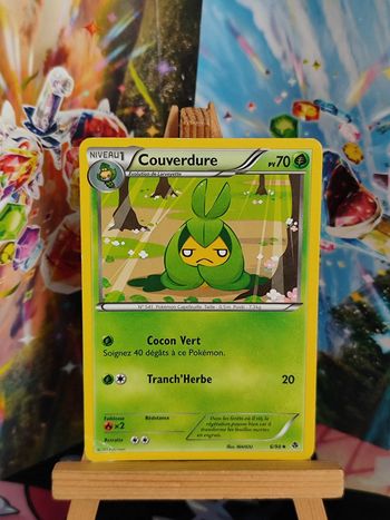 Couverdure 6/98 pouvoirs émergents