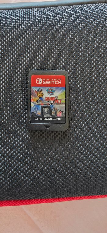 Pat patrouille grand prix jeux switch 