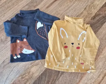 2 Sous pull du pareil au même