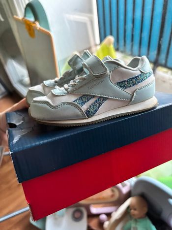 Basket reebok