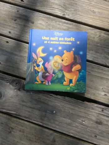 livre Les aventures de winnie