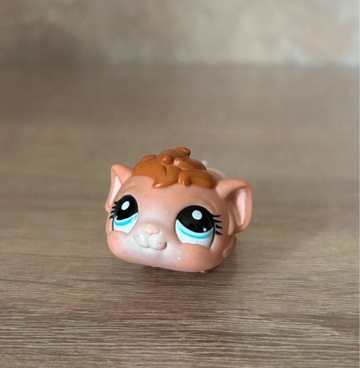 Petshop Rongeur - photo numéro 3