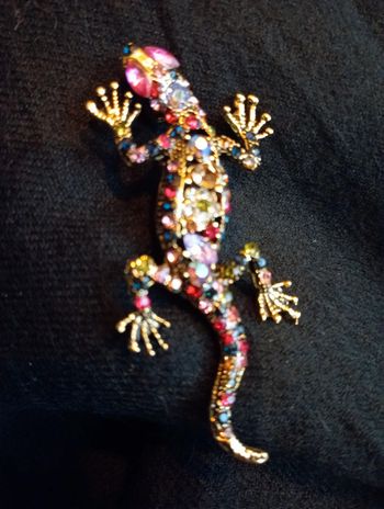 Idée cadeau 🎁: Broche en forme d'iguane