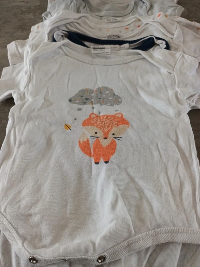 Lot bodies 9mois - photo numéro 2