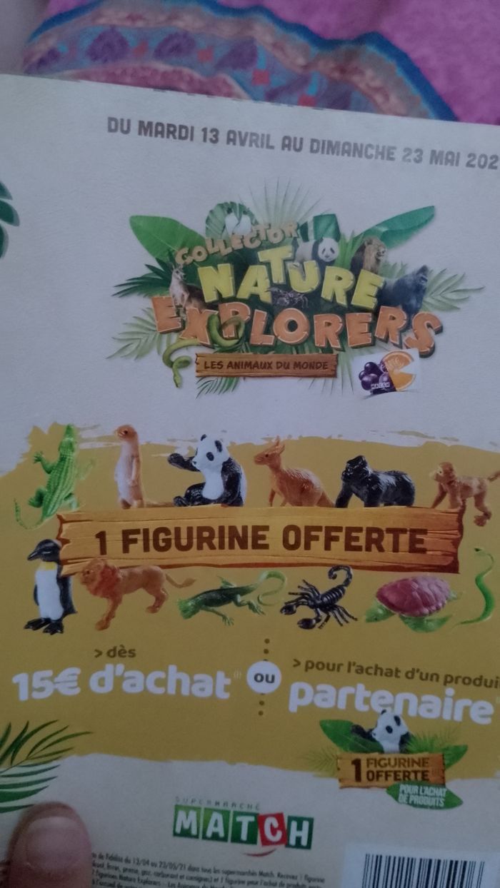 Album collector Nature explorers Les animaux du monde - photo numéro 5