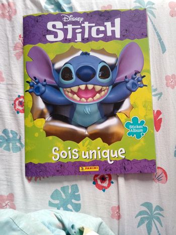 Panini Stitch