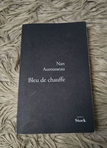 Roman Bleu de chauffe