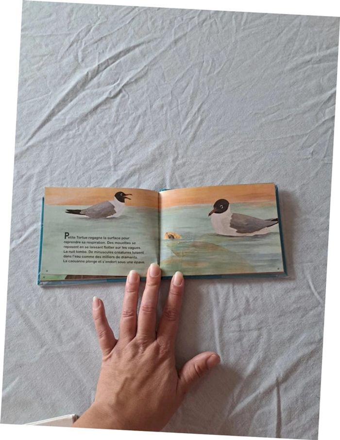 Livre Petite Tortue Casterman - photo numéro 6