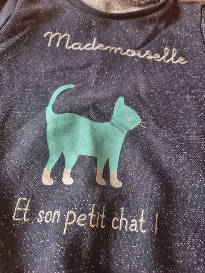 Pull chat - photo numéro 2