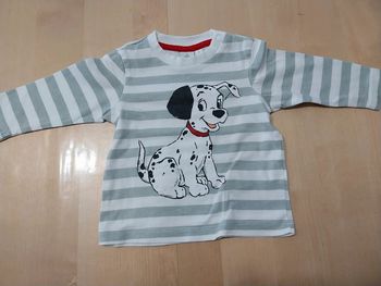 Pull fin bébé 6 mois Disney baby Dalmatien