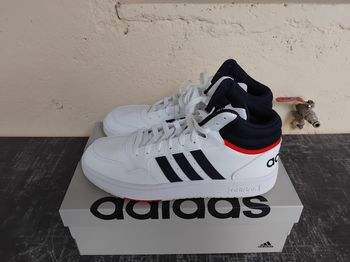 Adidas hoops 3.0