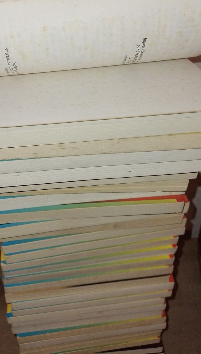 Gros lot livres - chair de poule - photo numéro 4