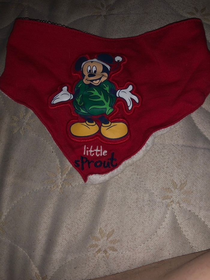 Bavoirs - photo numéro 5