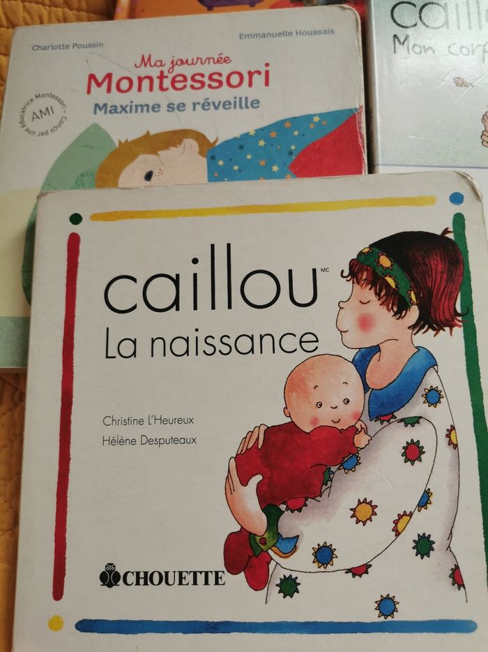 Lot de 4 livres cartonnes enfant - photo numéro 4