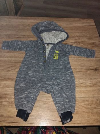 Grenouillère Orchestral