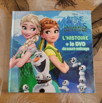La Reine des Neiges, Une fête givrée - L'histoire + le DVD du film