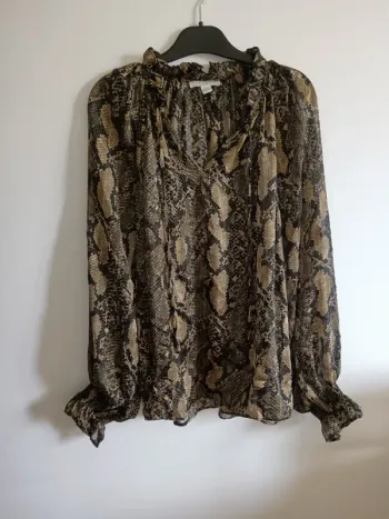 Blouse transparente