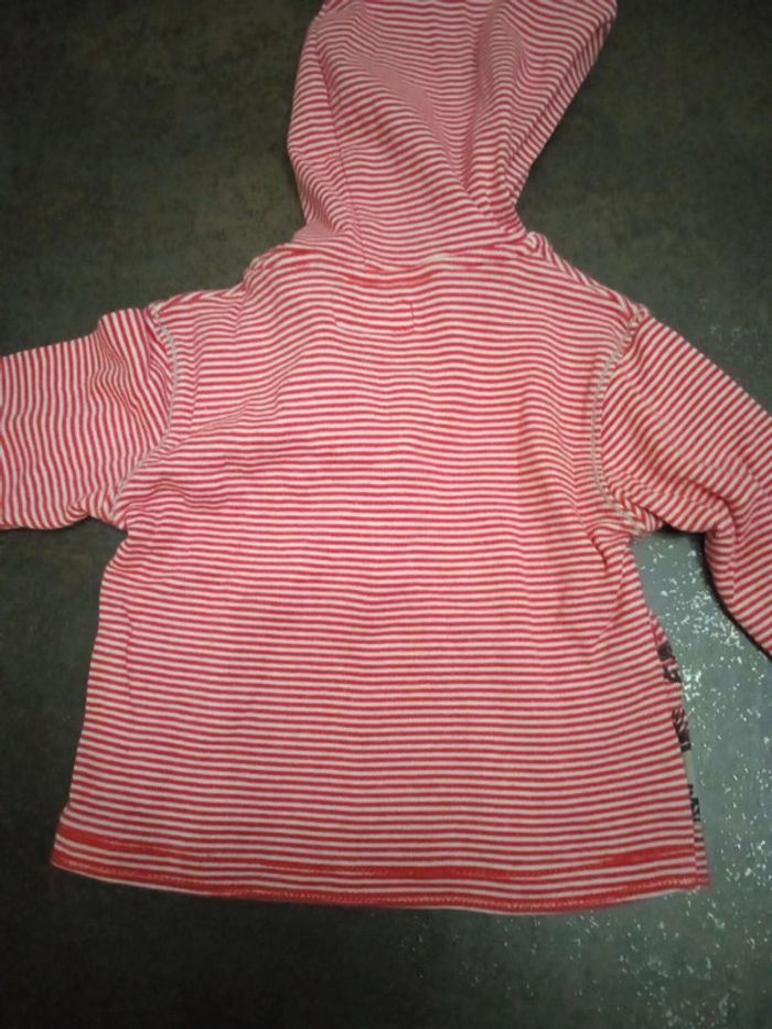 T-shirt la Compagnie des petits 12 mois - photo numéro 5