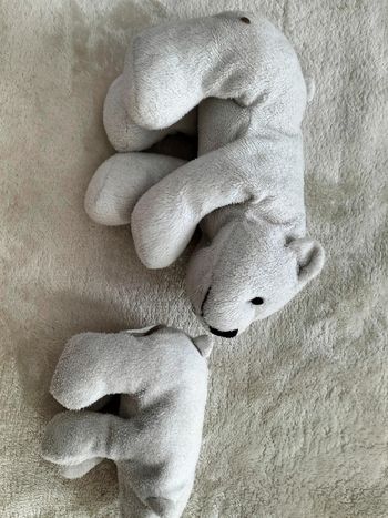 Deux ourson blanc